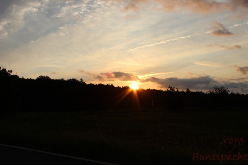 Bildla Nummära 001.jpg