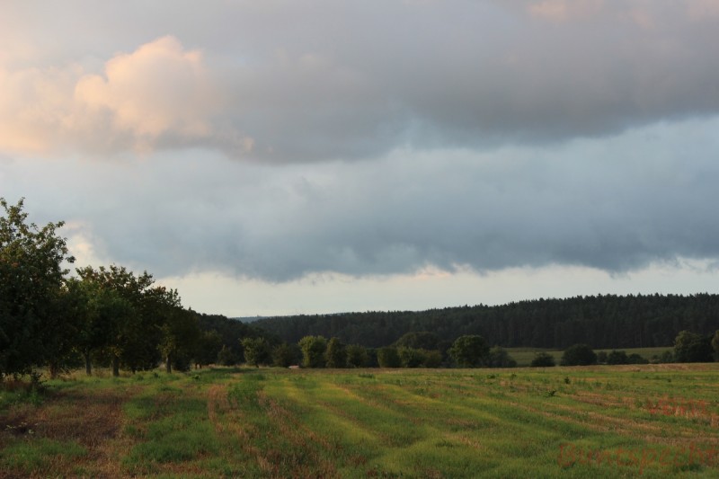 Bildla Nummära 002.jpg