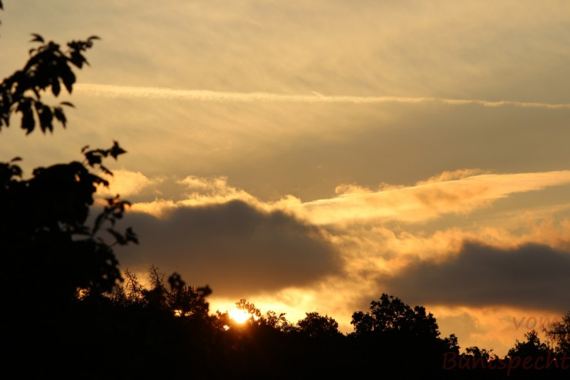 Bildla Nummära 003.jpg