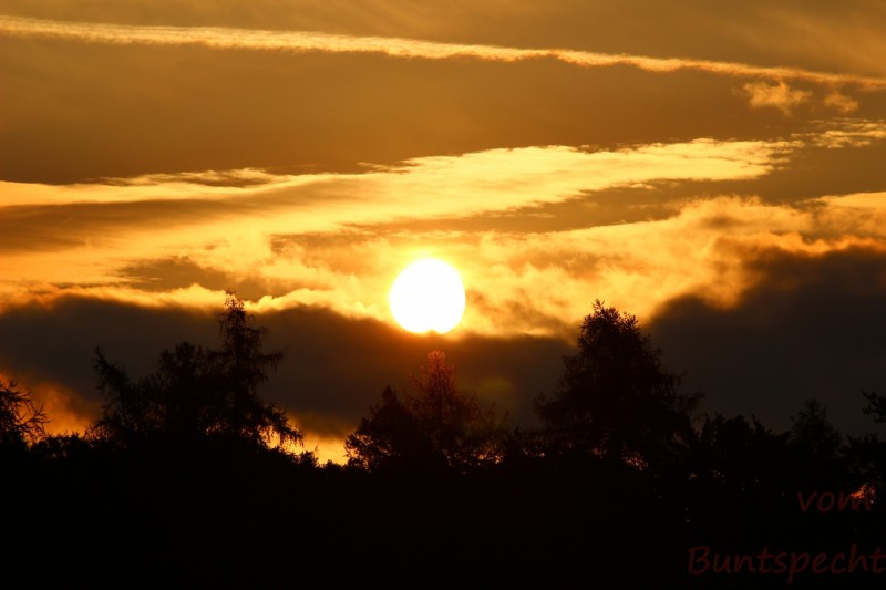 Bildla Nummära 004.jpg