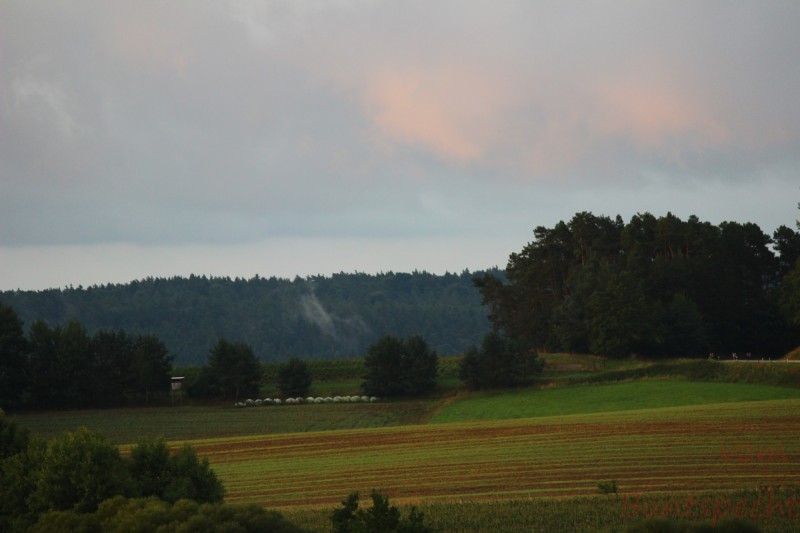 Bildla Nummära 005.jpg