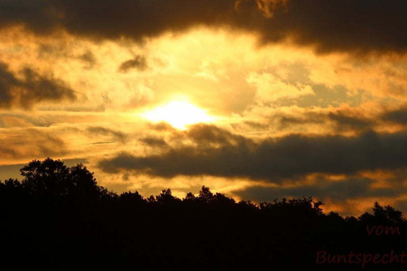 Bildla Nummära 006.jpg