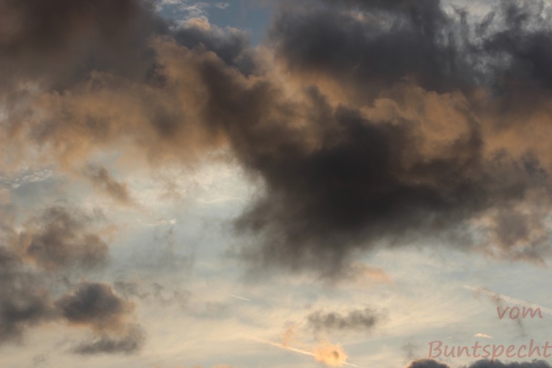 Bildla Nummära 007.jpg