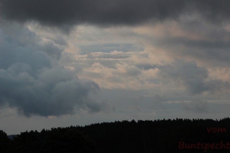 Bildla Nummära 008.jpg