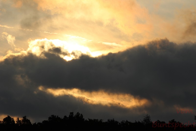 Bildla Nummära 009.jpg