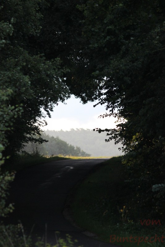 Bildla Nummära 010.jpg