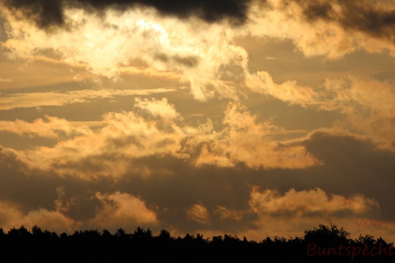 Bildla Nummära 011.jpg