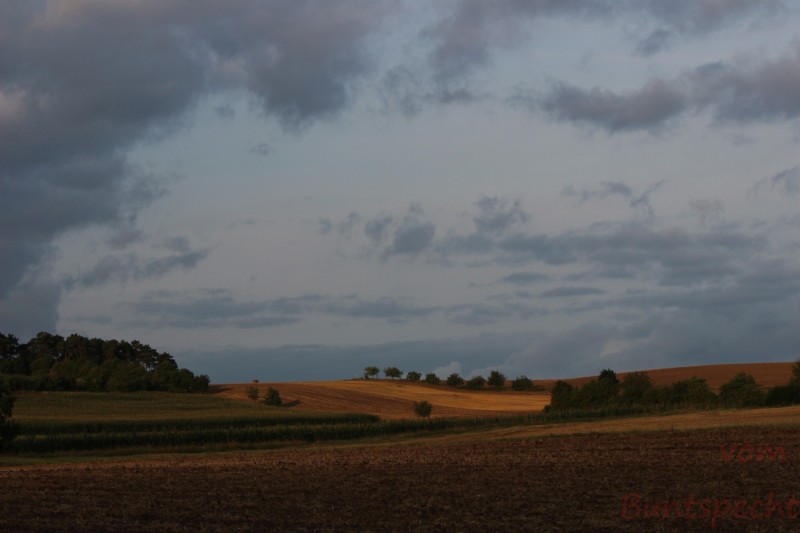 Bildla Nummära 012.jpg