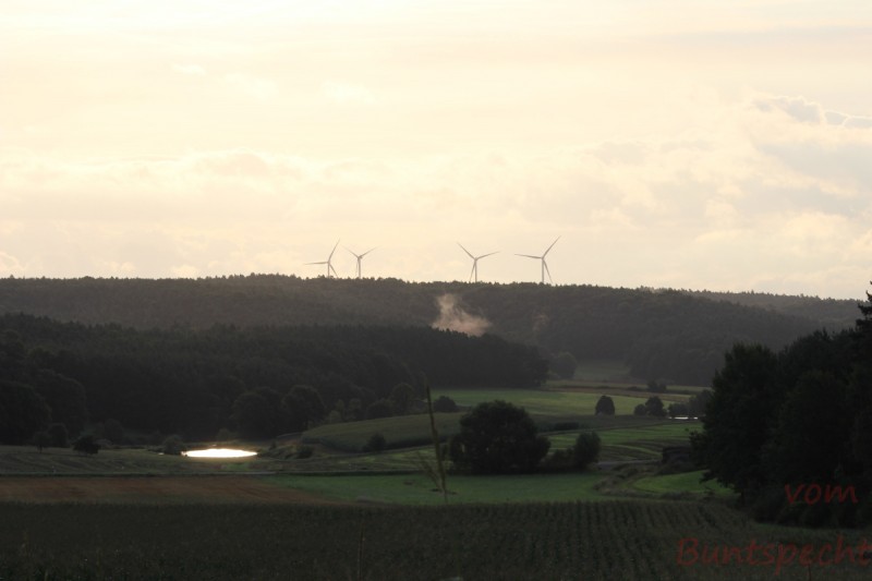 Bildla Nummära 013.jpg