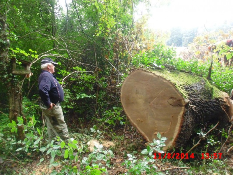 Anton vorm Gipfel.jpg