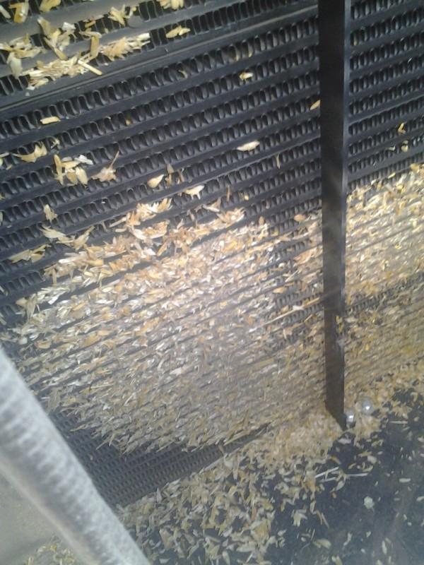 2014-08-18 18.55.35.jpg