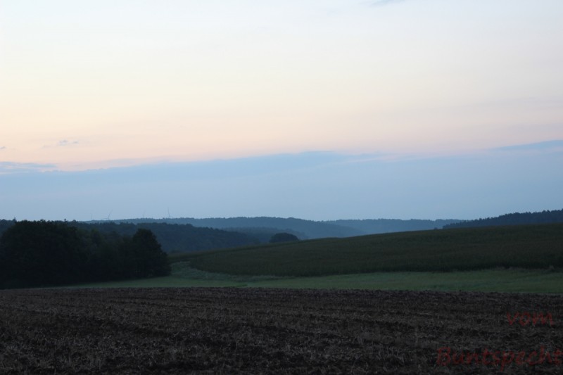 Bildla Nummära 001.jpg