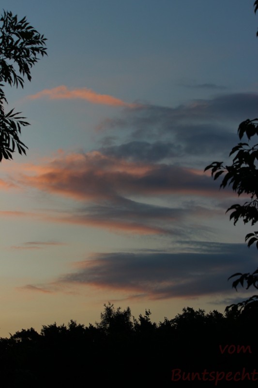 Bildla Nummära 002.jpg