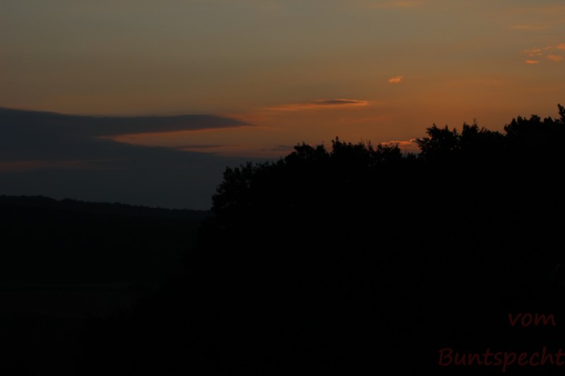 Bildla Nummära 006.jpg