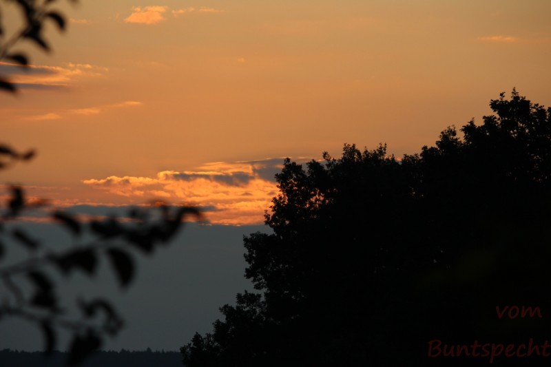 Bildla Nummära 008.jpg