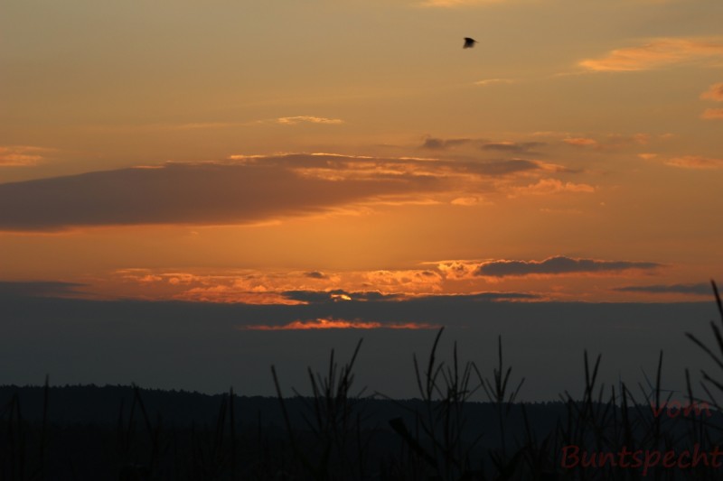 Bildla Nummära 009.jpg