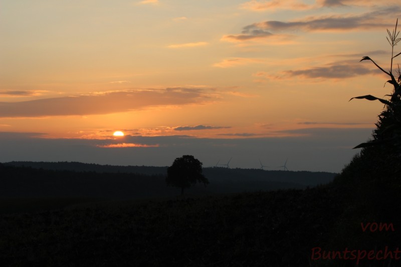 Bildla Nummära 010.jpg