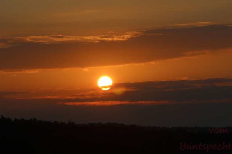 Bildla Nummära 011.jpg