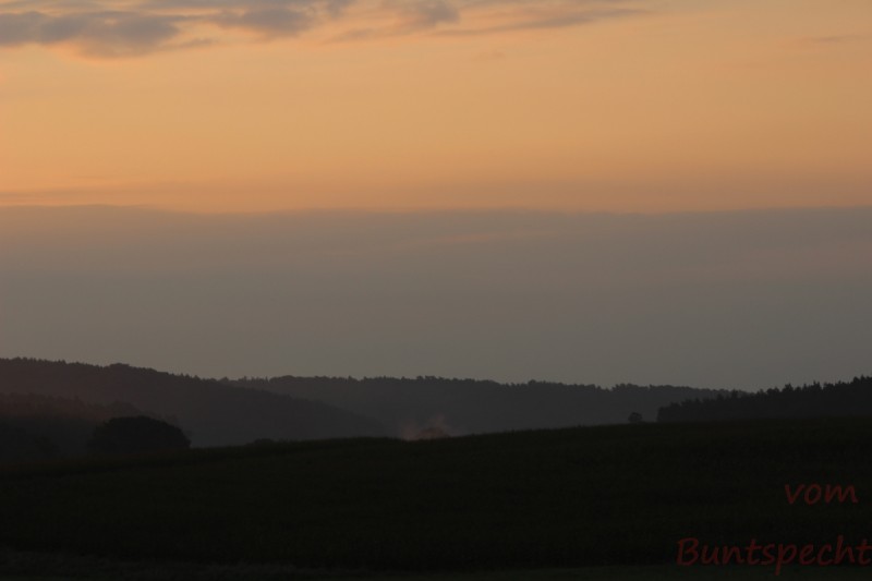 Bildla Nummära 012.jpg