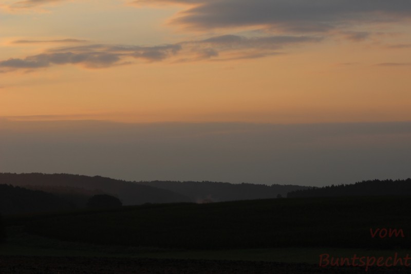 Bildla Nummära 013.jpg