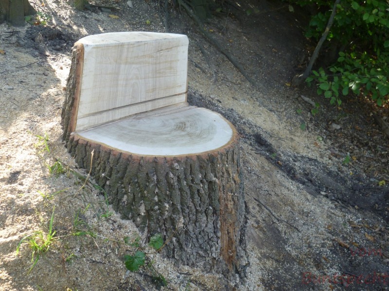 Bildla Nummära 001.jpg