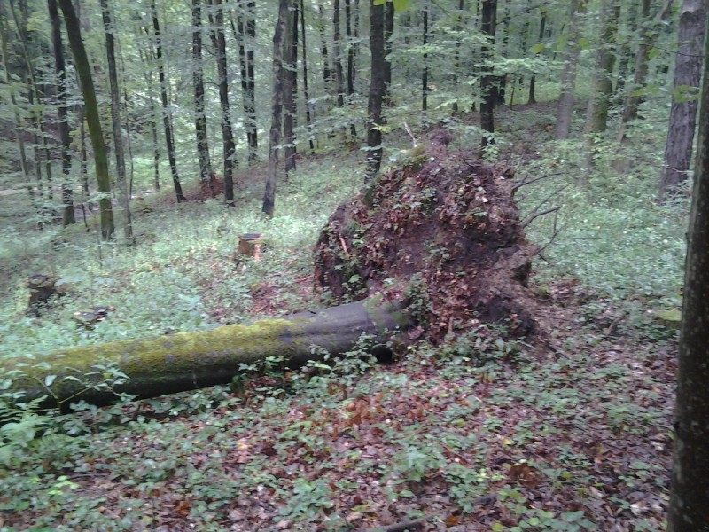 2014-09-06 15.17.17.jpg