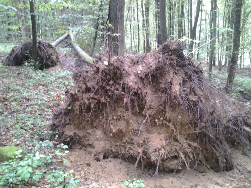 2014-09-06 15.17.47.jpg