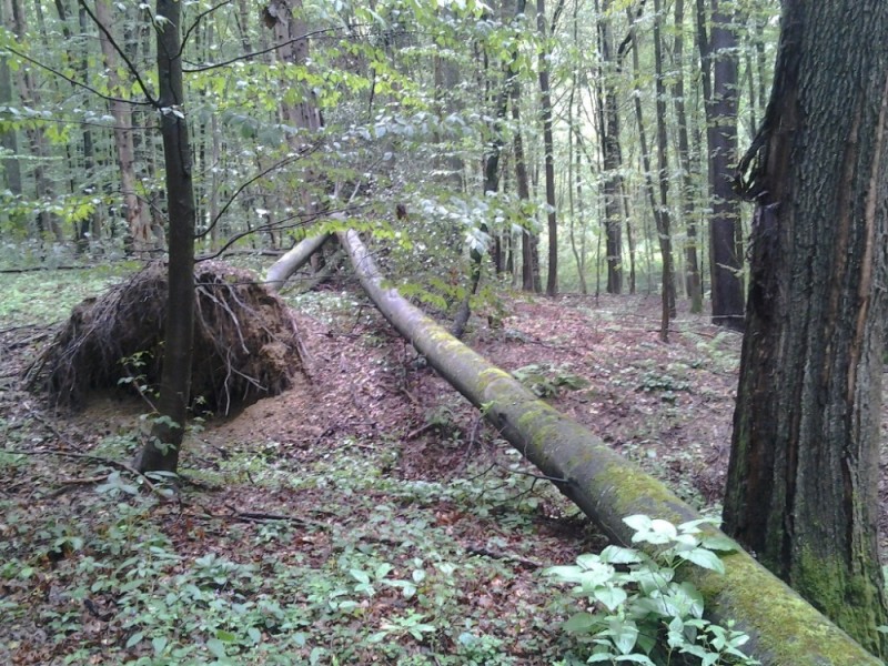 2014-09-06 15.17.32.jpg