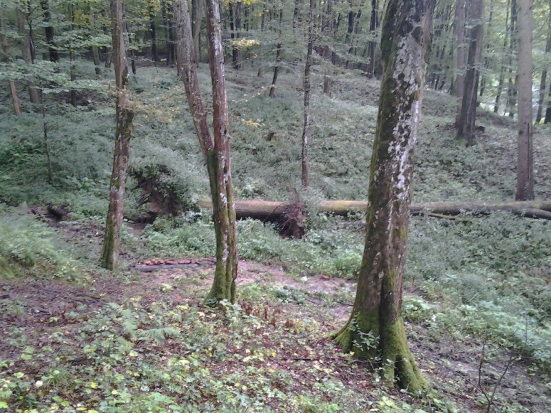 2014-09-06 15.23.25.jpg