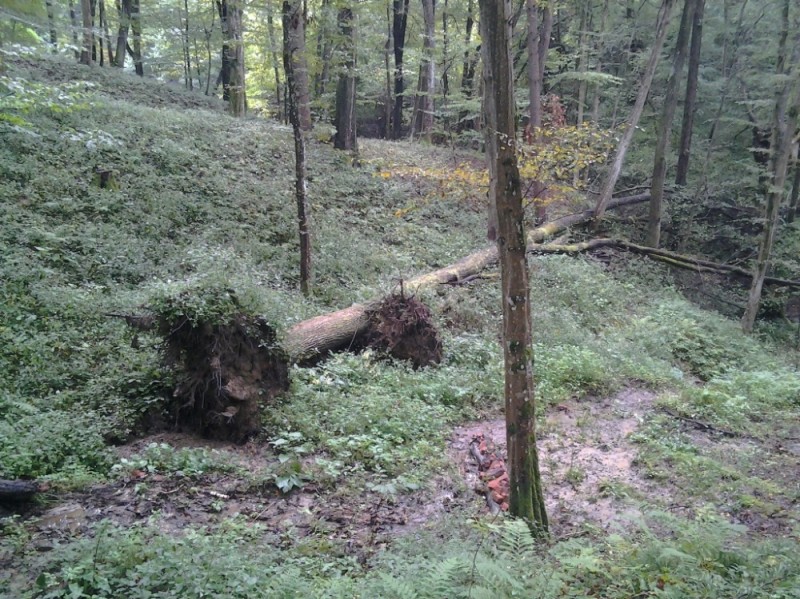 2014-09-06 15.21.01.jpg