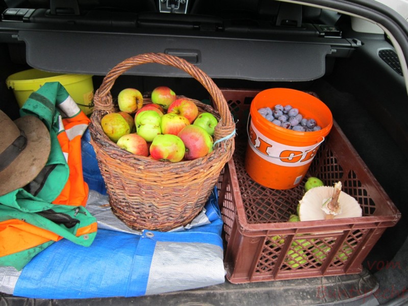 Bildla Nummära 001.jpg