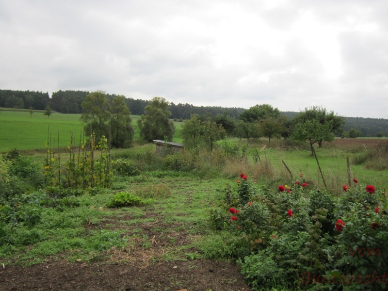 Bildla Nummära 001.jpg