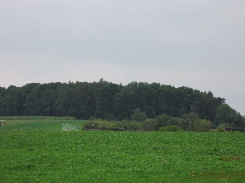 Bildla Nummära 002.jpg