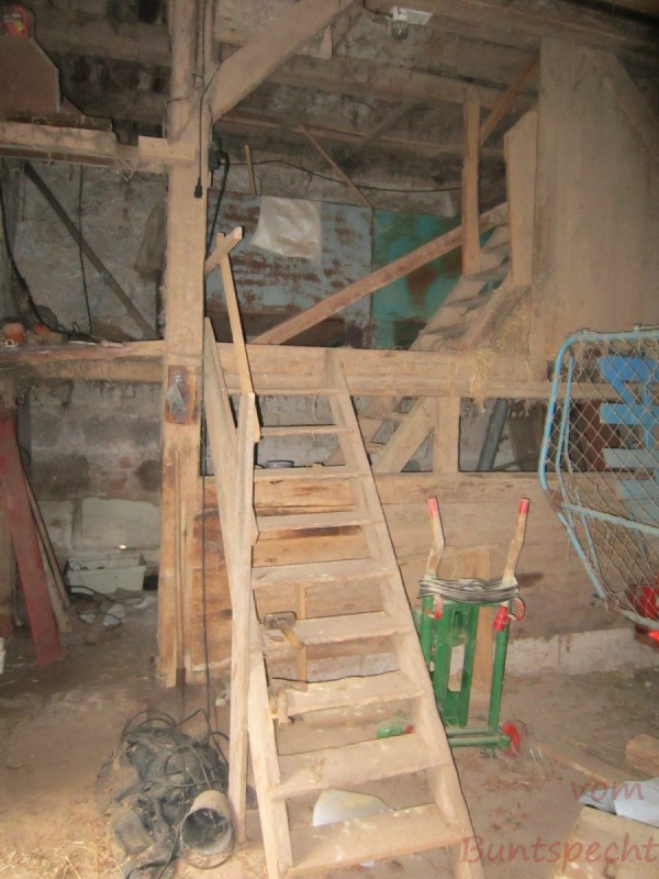 Bildla Nummära 004.jpg