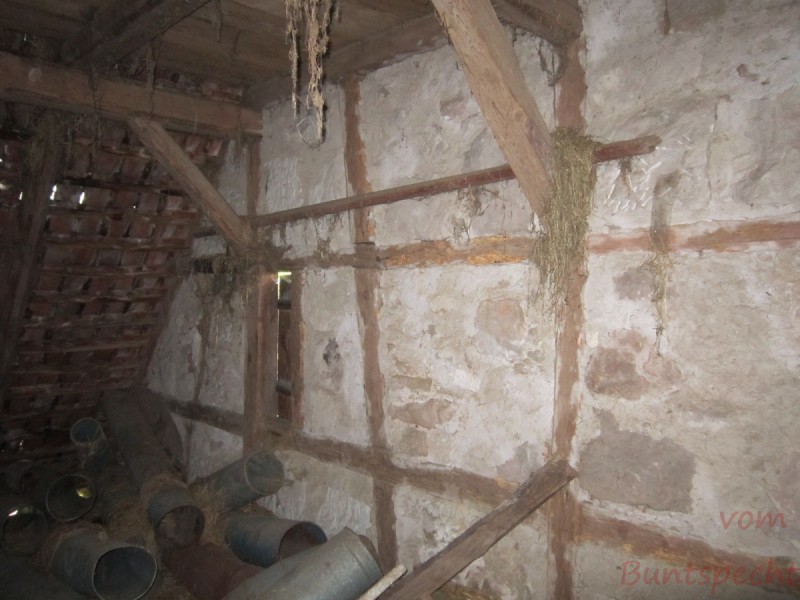 Bildla Nummära 008.jpg