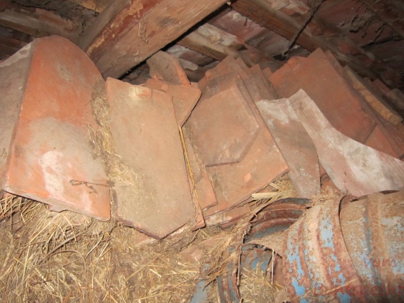 Bildla Nummära 009.jpg