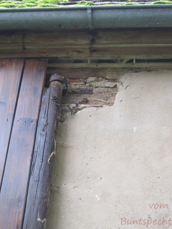 Bildla Nummära 016.jpg