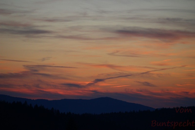 Bildla Nummära 001.jpg