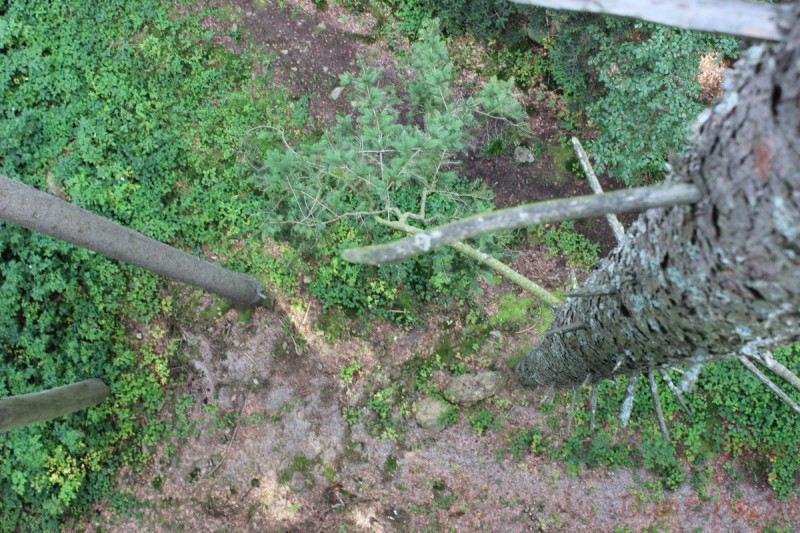 Bildla Nummära 001.jpg