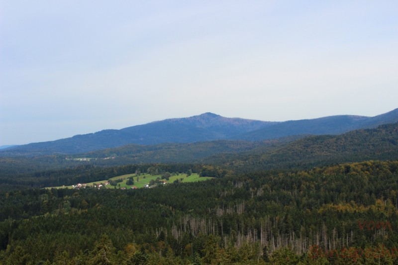 Bildla Nummära 003.jpg