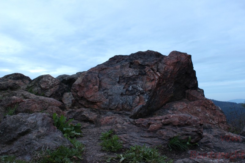 Bildla Nummära 005.jpg