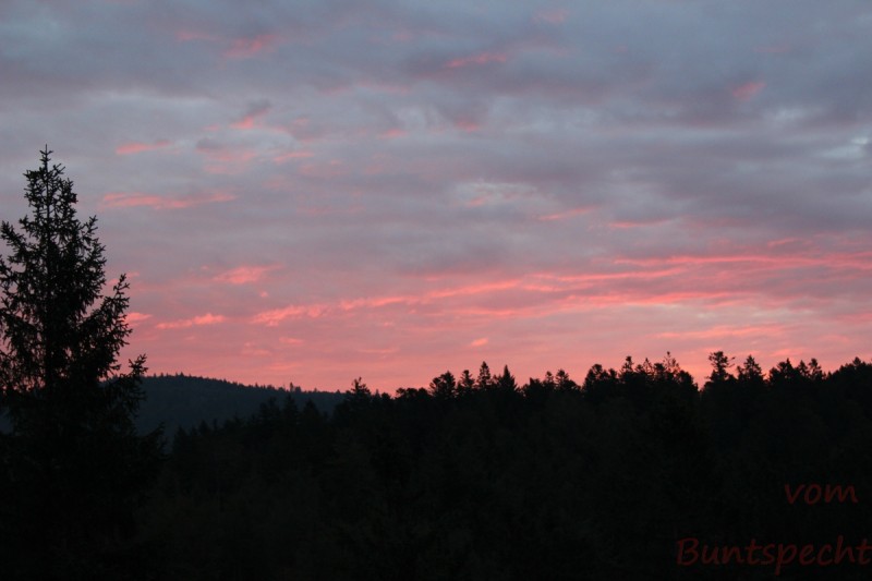 Bildla Nummära 009.jpg