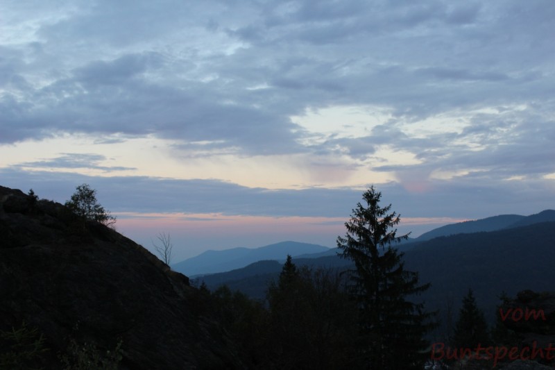 Bildla Nummära 011.jpg