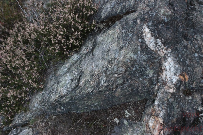 Bildla Nummära 012.jpg