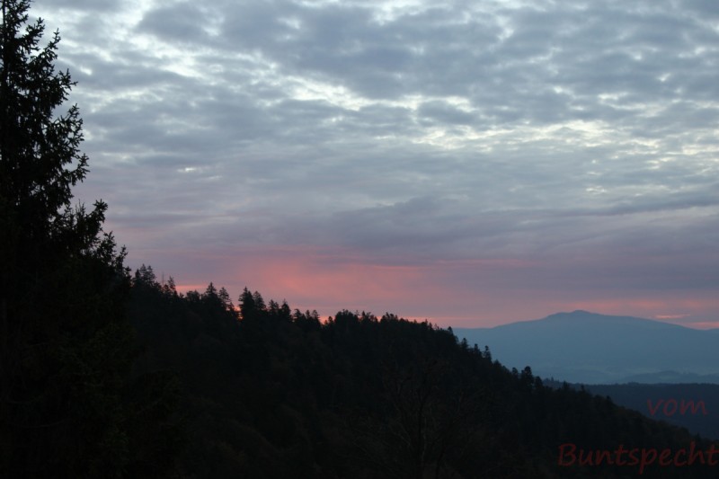 Bildla Nummära 014.jpg