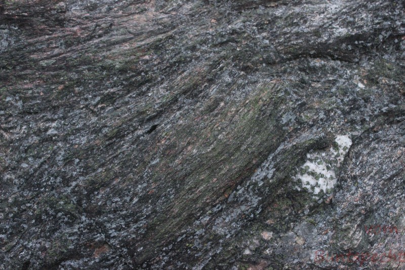 Bildla Nummära 015.jpg