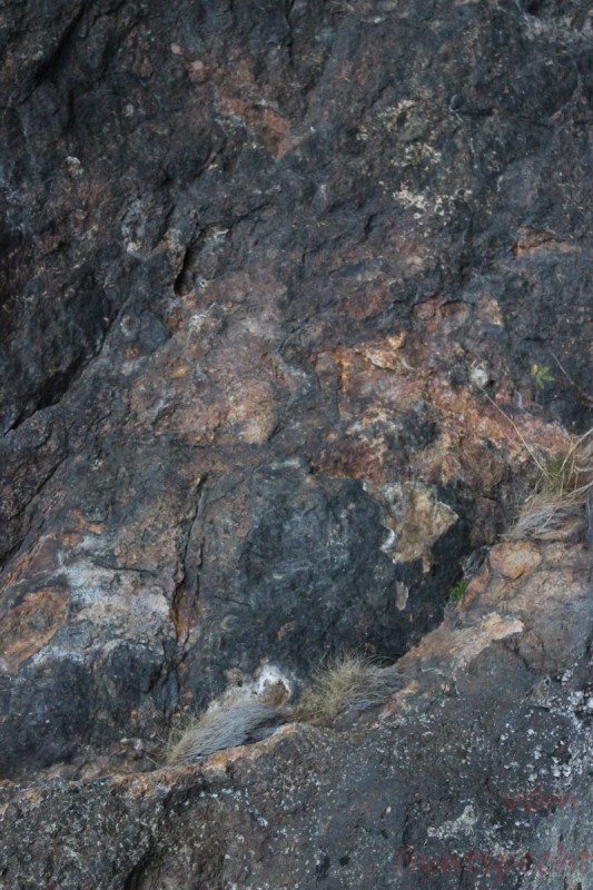 Bildla Nummära 017.jpg