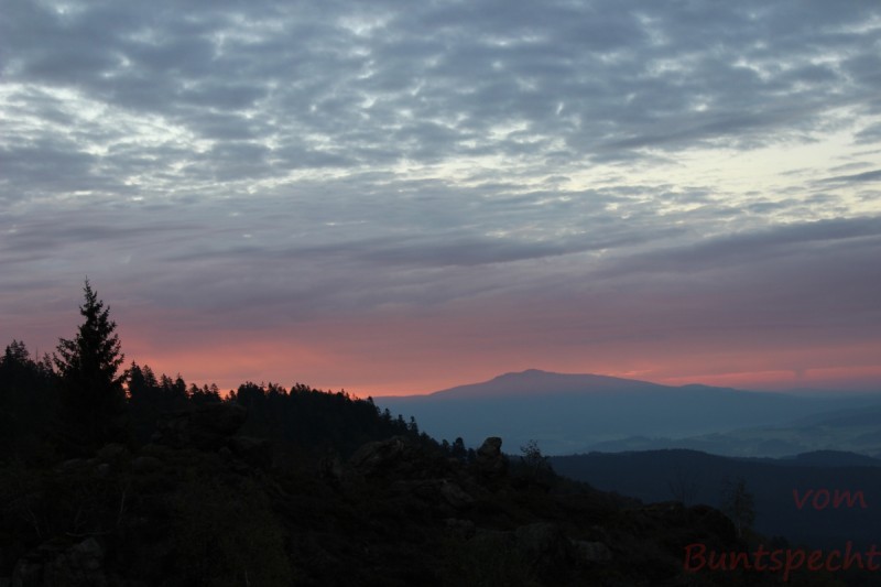 Bildla Nummära 019.jpg