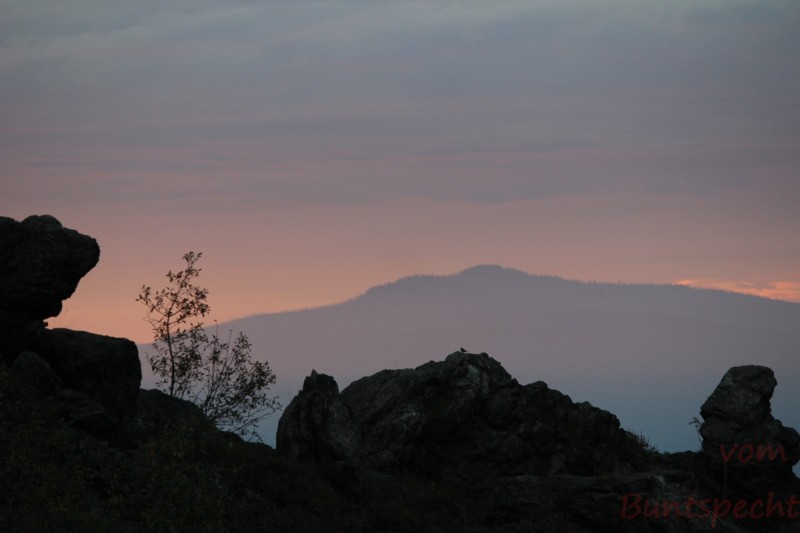 Bildla Nummära 022.jpg