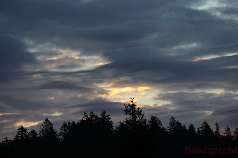 Bildla Nummära 023.jpg